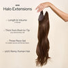 Medium Brown (2B) Halo