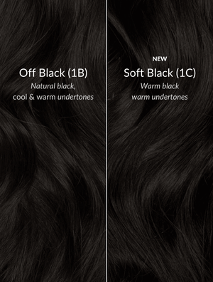 Soft Black (1C) Halo