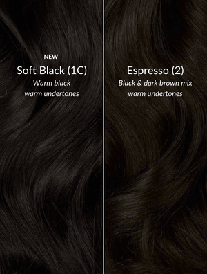 Espresso (2) 20" Single Weft (backorder)