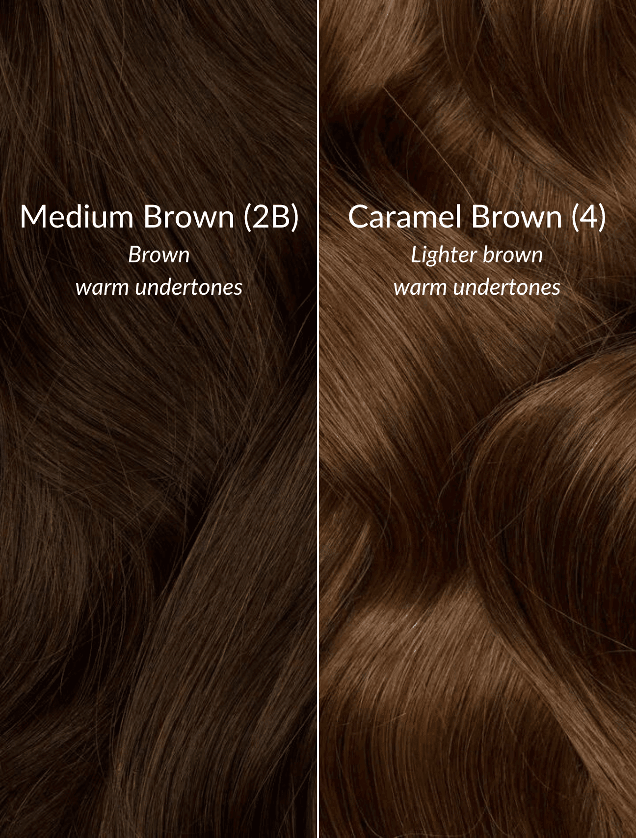 Caramel Brown (4) Halo