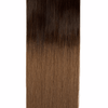 Ombre Espresso (#1C) to Caramel Brown (#6C) 100g Weft